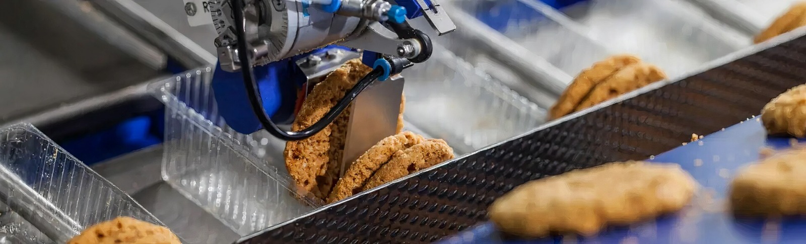 Gıda ve Ambalaj Belgelendirme Danışmanlığı