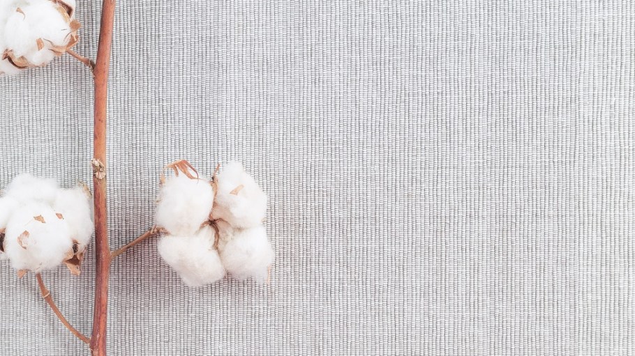 Organik Tekstil ve Kozmetik Sistemi Danışmanlığı